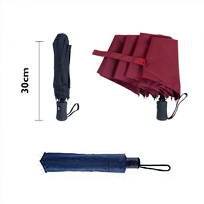 21'' Auto-Open Close 3 Fold Umbrella 11