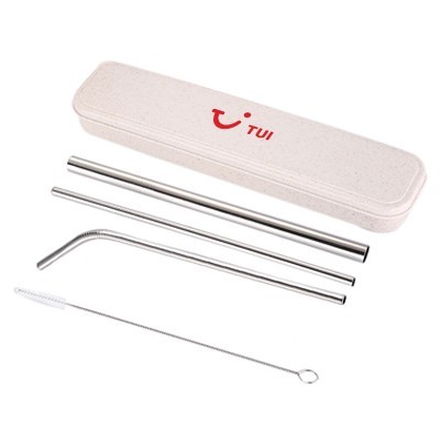 4-in-1 Silver Stainless Steel Drinking Straw Gifts Set 01